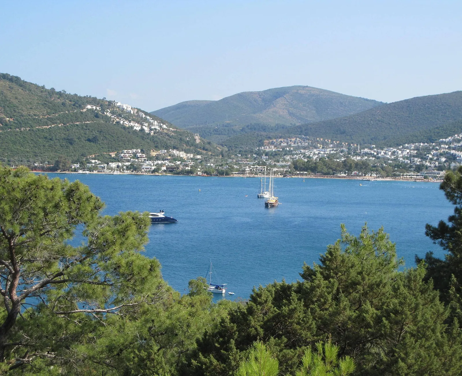 Torba